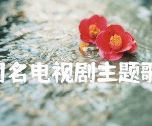 《在水一方(同名电视剧主题歌) 二胡曲谱吉他谱》_林家庆 图片谱1张