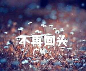 《不再回头吉他谱》_广智 图片谱1张