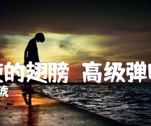 《天使的翅膀（高级弹唱版）吉他谱》_安琥_G调 图片谱2张