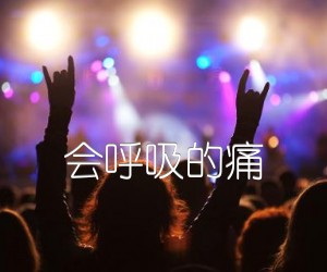 《会呼吸的痛吉他谱》_群星_G调_吉他图片谱1张