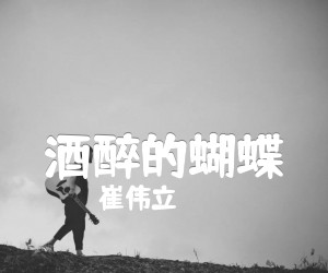 《酒醉的蝴蝶吉他谱》_崔伟立 图片谱2张