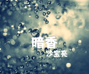 《暗香吉他谱》_沙宝亮_和弦谱_C调 图片谱1张