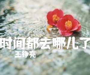 《时间都去哪儿了吉他谱》_王铮亮_F调 图片谱2张