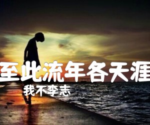 《至此流年各天涯吉他谱》_我不李志_G调 图片谱3张