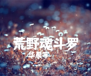 《荒野魂斗罗吉他谱》_华晨宇_C调 图片谱6张