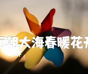 《胡畔 面朝大海春暖花开吉他谱》_胡畔_C调 图片谱2张