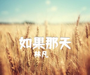 《如果那天吉他谱》_林凡 图片谱2张