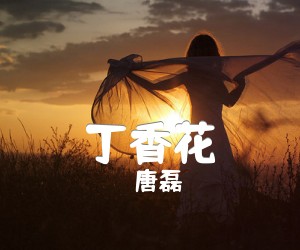 《丁香花吉他谱》_唐磊_民谣弹唱版_G调 图片谱3张