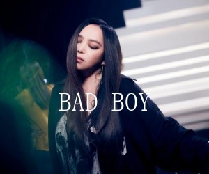 《BAD BOY吉他谱》_张惠妹 文字谱