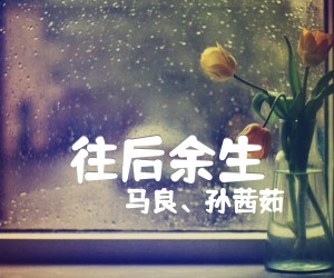 《往后余生吉他谱》_马良、孙茜茹_C调标准版/G调入门版_图片谱标准版_C调 图片谱2张