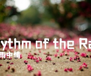 《Rhythm of the Rain吉他谱》_雨中情_E调 图片谱2张