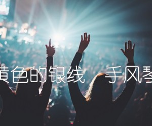 《金黄色的银线  手风琴谱吉他谱》_佚名 图片谱1张