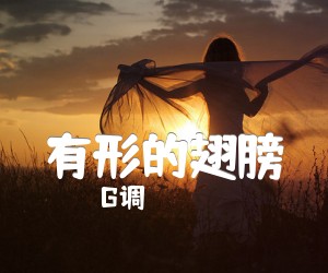 《有形的翅膀吉他谱》_G调_G调 图片谱2张