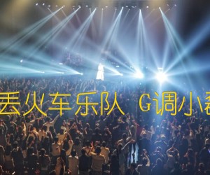 《白兰鸽巡游记 丢火车乐队 G调小磊吉他教室出品吉他谱》_群星_G调 图片谱1张