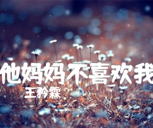 《他妈妈不喜欢我吉他谱》_王矜霖_C调_吉他图片谱9张