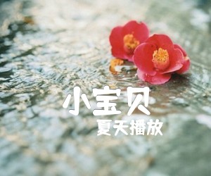 《小宝贝吉他谱》_夏天播放_扫弦谱_C调 图片谱2张