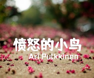 《愤怒的小鸟吉他谱》_Ari Pulkkinen_《愤怒的小鸟吉他谱》_Ari PulkkinenGTP指弹吉他好听_琴歌 图片谱1张