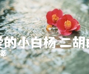 《可爱的小白杨 二胡曲谱吉他谱》_王莘_B调 图片谱1张