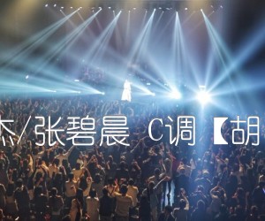 《只要平凡 张杰/张碧晨 C调【胡sir音乐教室】吉他谱》_群星_C调 图片谱1张