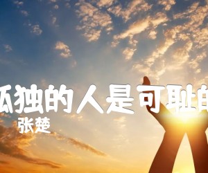 《孤独的人是可耻的吉他谱》_张楚 图片谱1张