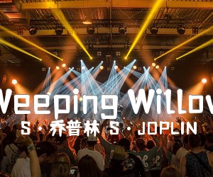 《Weeping Willow吉他谱》_S·乔普林（S·JOPLIN）_吉他图片谱4张