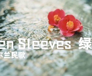 《Green Sleeves（绿袖子）吉他谱》_爱尔兰民歌_吉他图片谱1张