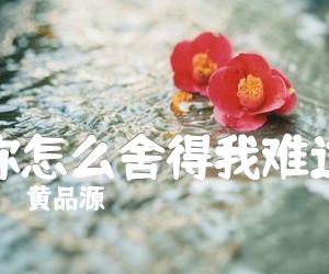 《你怎么舍得我难过》