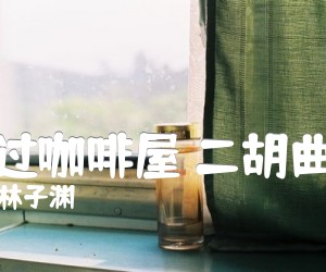 《走过咖啡屋 二胡曲谱吉他谱》_林子渊_G调 图片谱1张