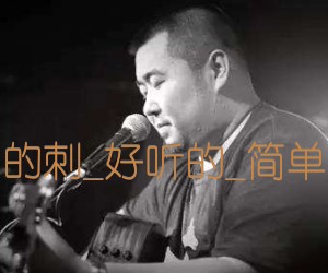 《平淡日子里的刺吉他谱》_宋冬野_好听的_简单吉他弹唱谱_G调 图片谱1张