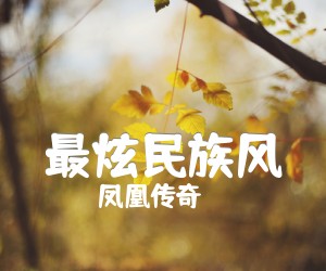 《最炫民族风吉他谱》_凤凰传奇_未知调 图片谱2张