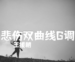 《悲伤双曲线G调吉他谱》_王援朝_G调 图片谱1张