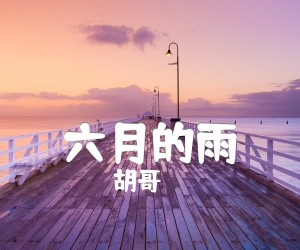 《六月的雨吉他谱》_胡哥 图片谱1张