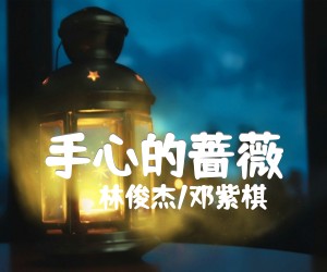 《手心的蔷薇吉他谱》_林俊杰/邓紫棋_C调 图片谱2张