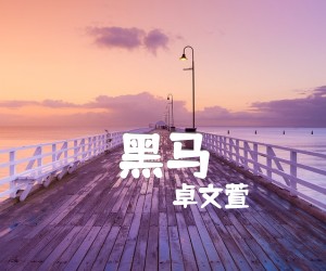 《黑马吉他谱》_卓文萱_G调 图片谱1张