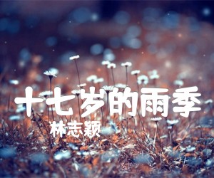 《十七岁的雨季吉他谱》_林志颖_C调 图片谱1张