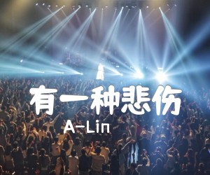 《有一种悲伤吉他谱》_A-Lin 图片谱2张