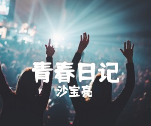 《青春日记吉他谱》_沙宝亮 图片谱1张