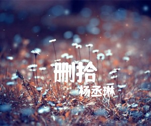 《删拾吉他谱》_杨丞琳 图片谱2张