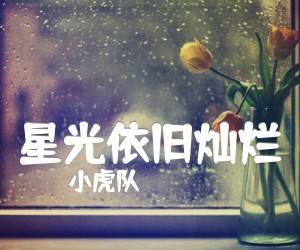 《星光依旧灿烂吉他谱》_小虎队_C调 图片谱1张