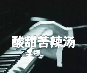 《酸甜苦辣汤吉他谱》_李娜 图片谱1张