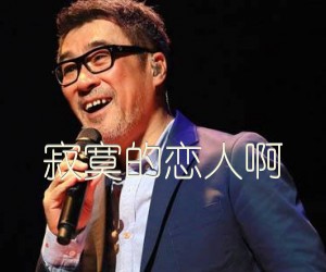 《寂寞的恋人啊吉他谱》_李宗盛_E调 图片谱3张