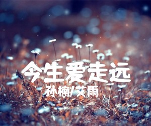 《今生爱走远吉他谱》_孙楠/艾雨_G调 图片谱2张