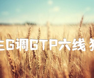 《如果有来生G调GTP六线 独奏吉他谱吉他谱》_谭维维_G调 图片谱3张