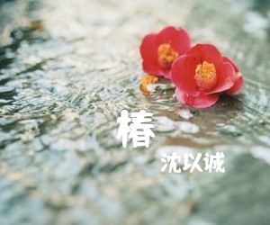 《椿吉他谱》_沈以诚 图片谱3张