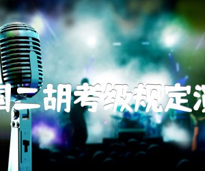 《十分轻快的练习(中国二胡考级规定演奏曲八级)二胡曲谱吉他谱》_苏汉兴_D调_吉他图片谱1张