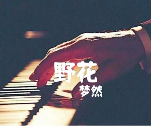 《野花吉他谱》_梦然_康树龙/旦增尼玛_图片谱标准版 图片谱3张