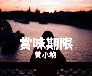 《赏味期限吉他谱》_黄小桢_F调 图片谱1张