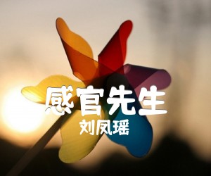 《感官先生吉他谱》_刘凤瑶_G调 图片谱3张