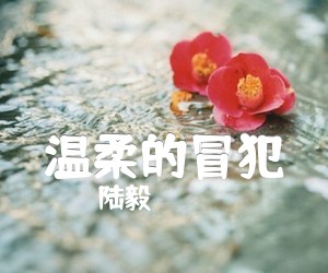 《温柔的冒犯吉他谱》_陆毅 图片谱1张