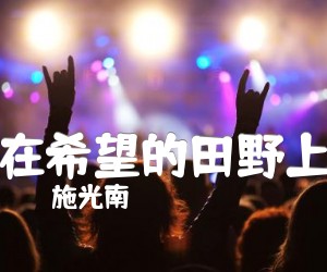 《在希望的田野上吉他谱》_施光南 图片谱1张